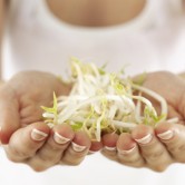 En la menopausia, benefíciate de la soja