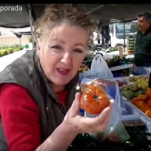 Frutas de temporada